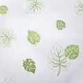 monstera zieleń.jpg