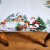BNPR266(2).png